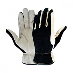 Riding Gloves 