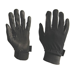 Riding Gloves 